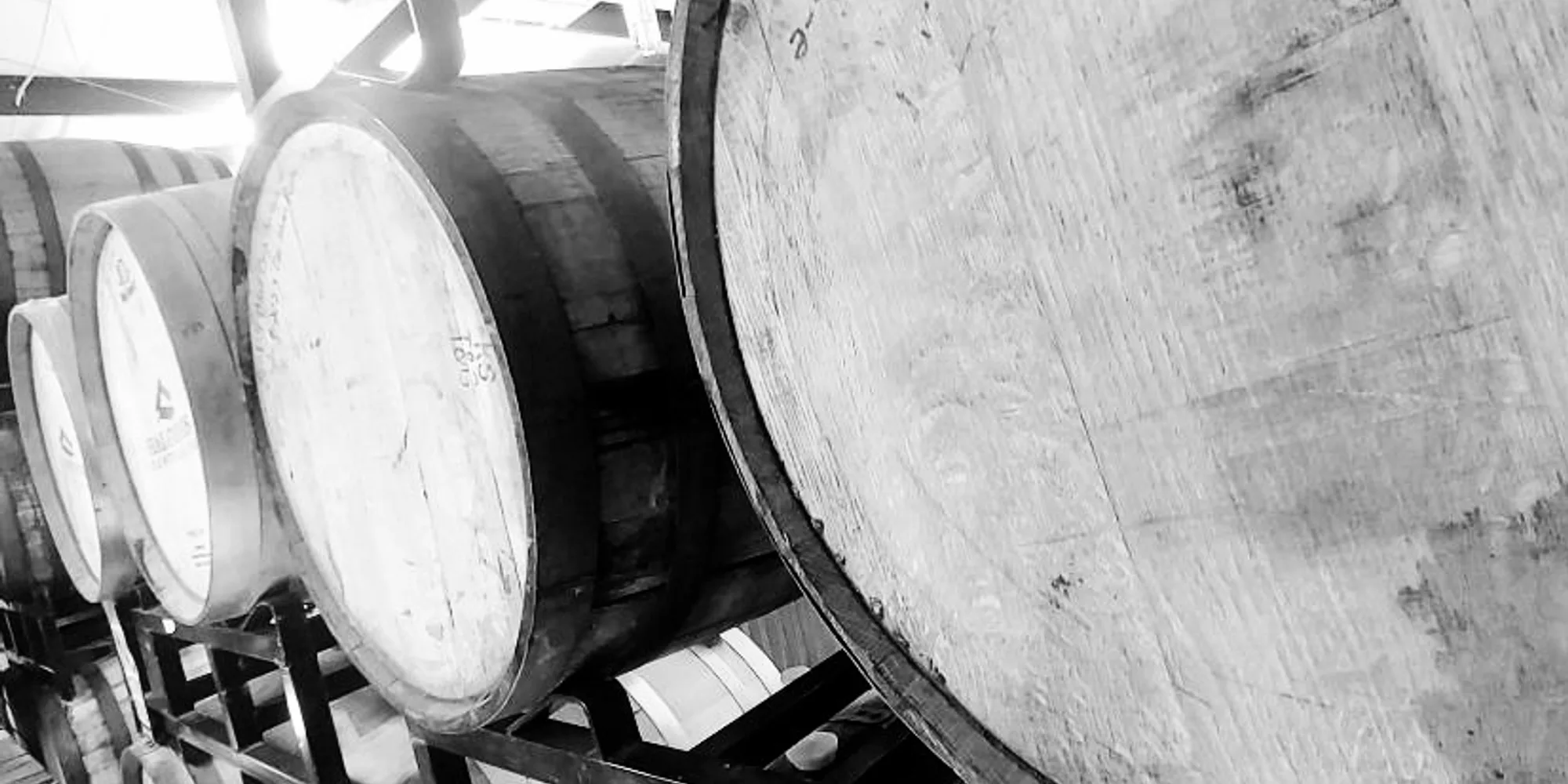 Excalibur Brewing Magnolia Taproom