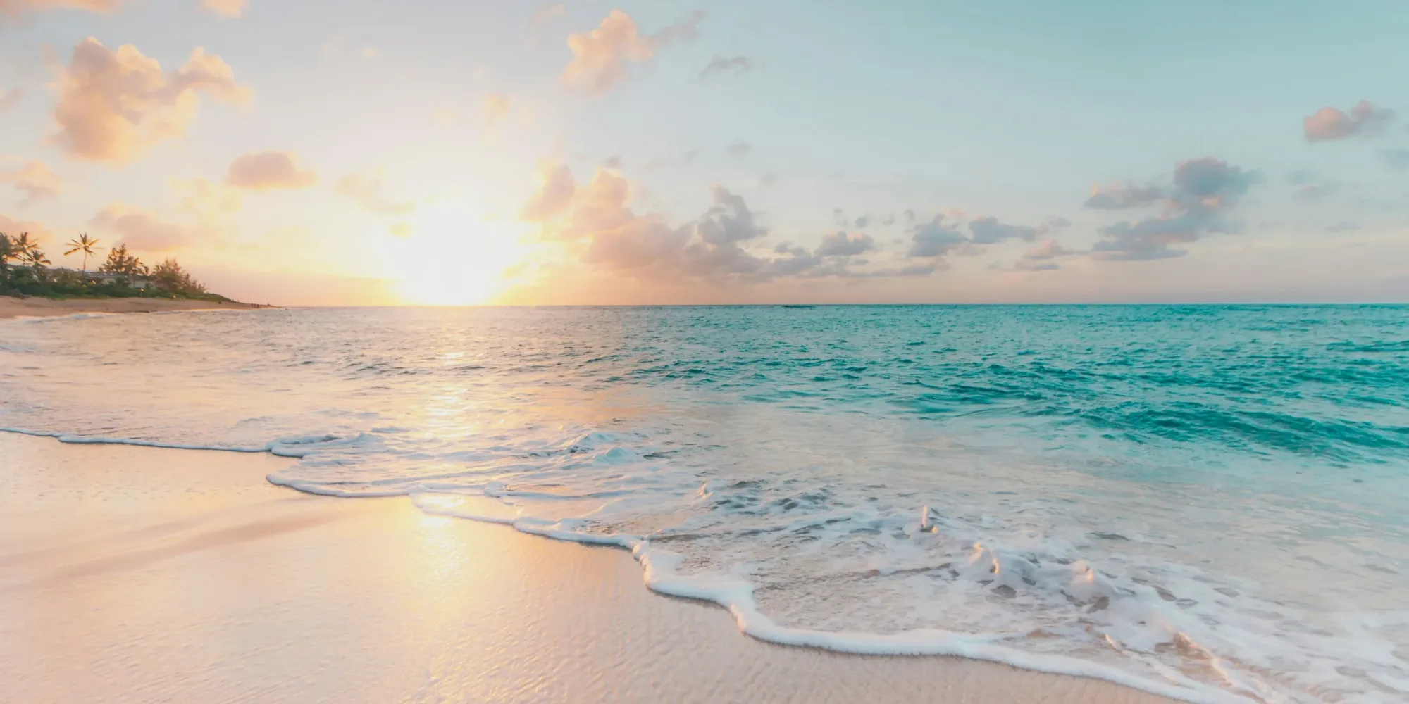 Taste of the Caribbean