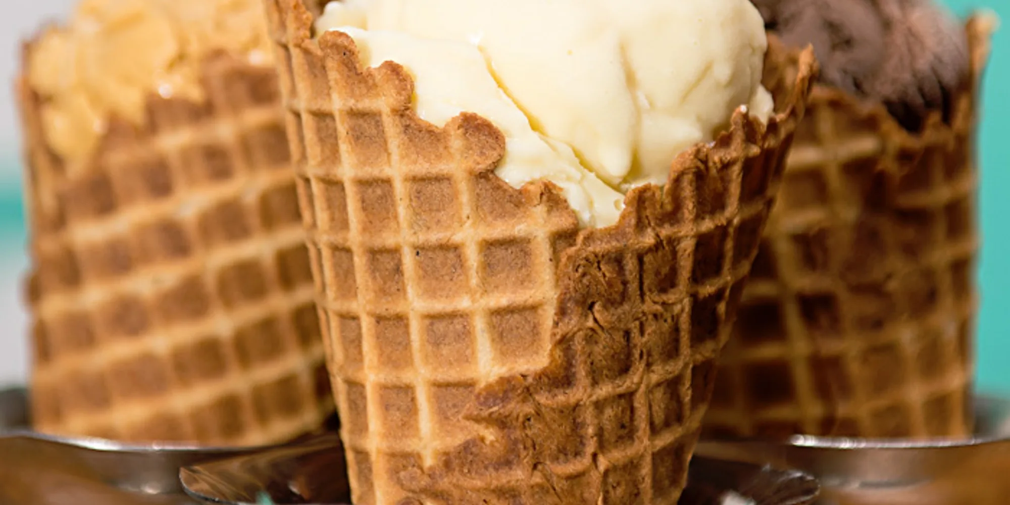 Fat Cat Creamery