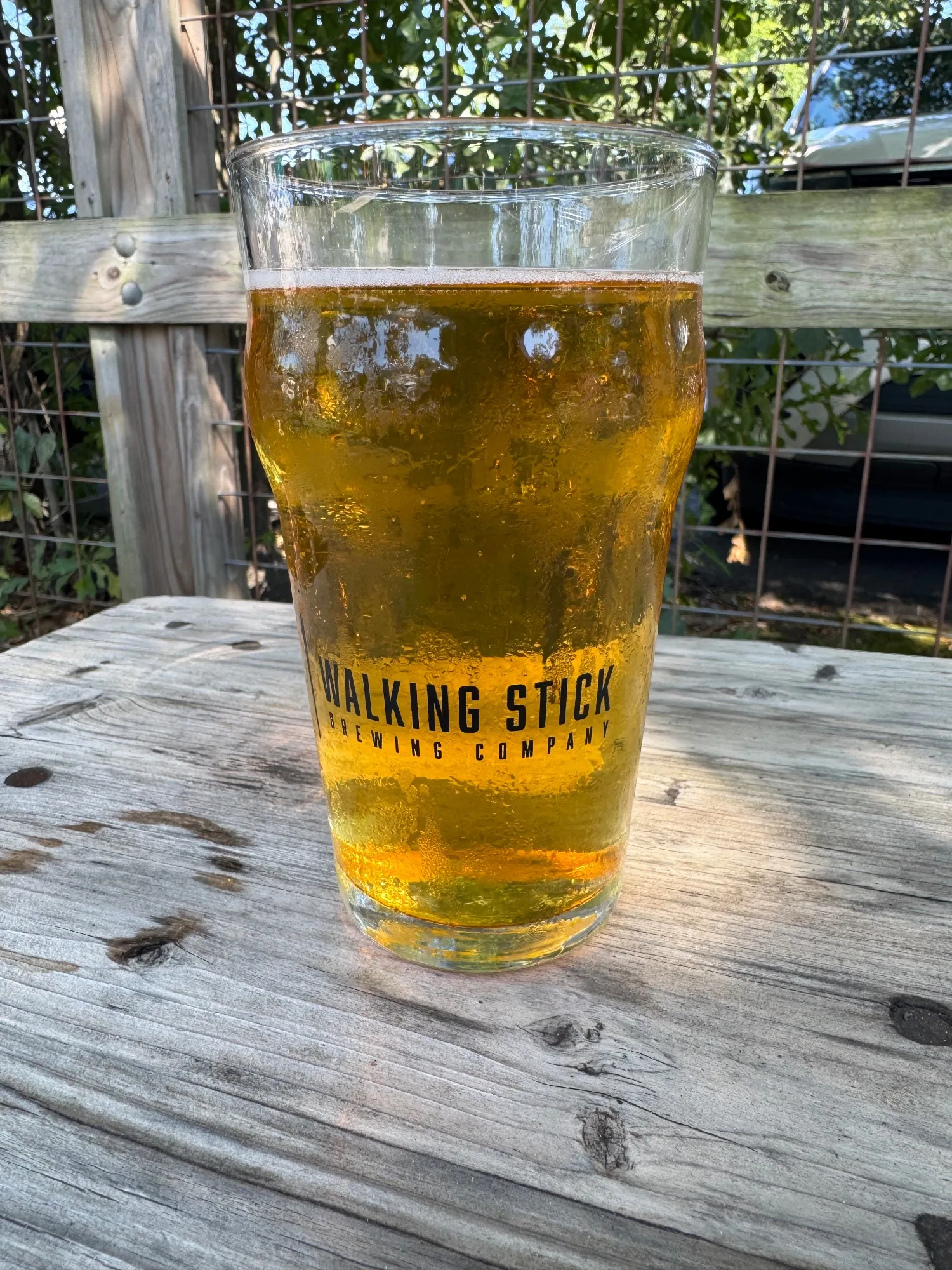 Walking Stick Brewing Company, posted by Jax Black, photo 2
